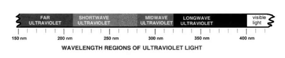Wavelength Regions of Ultraviolet Light